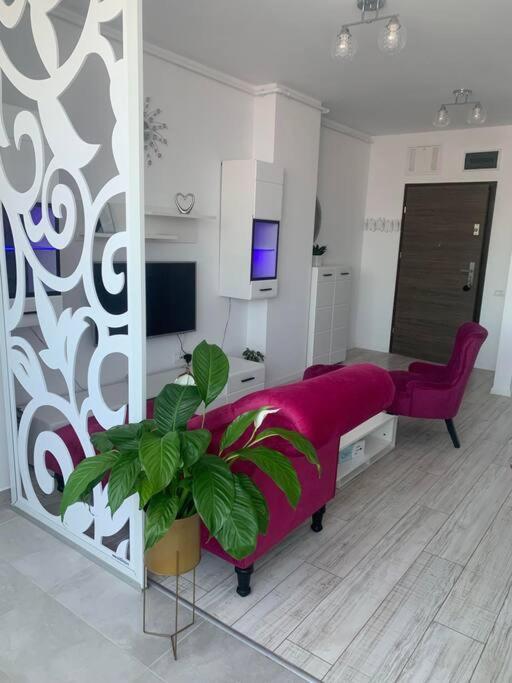 Cool Apartment Timisoara Exterior photo